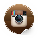 Instagram Logo for Living Vertical 
