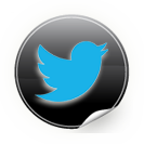 Living Vertical Twitter Logo