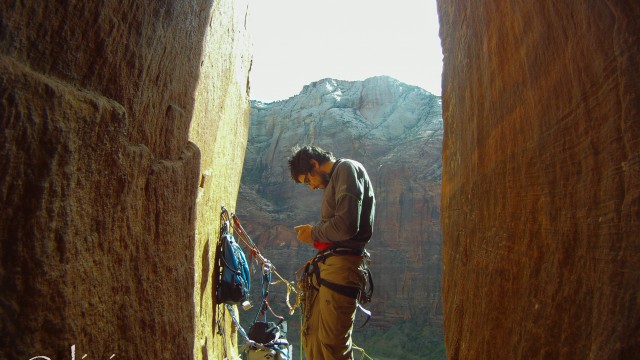 Insulin on a big wall