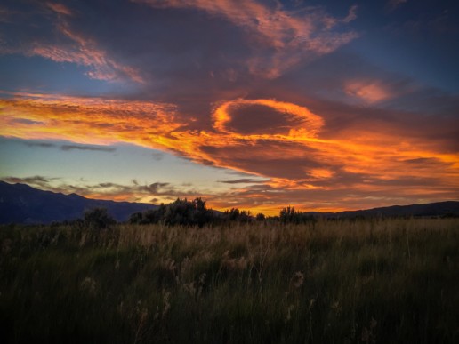 professional photography with an iphone